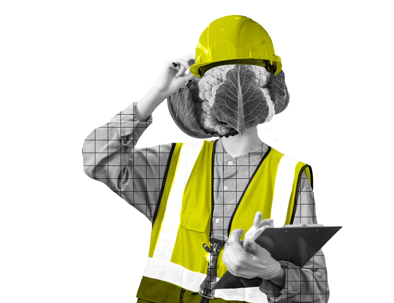 Expertises - Secteur industriel et manufacturier