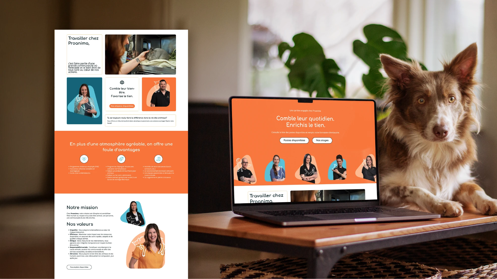 Stratégie de marque-employeur pour Proanima